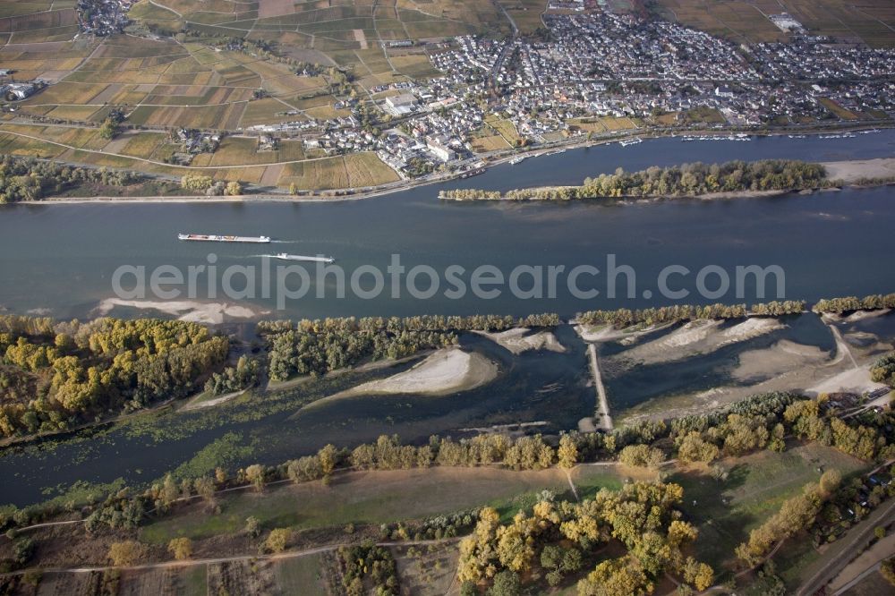 Aerial photograph Ingelheim am Rhein - Shore areas exposed by low-water level riverbed on the Rhine river in Ingelheim am Rhein in the state Rhineland-Palatinate, Germany