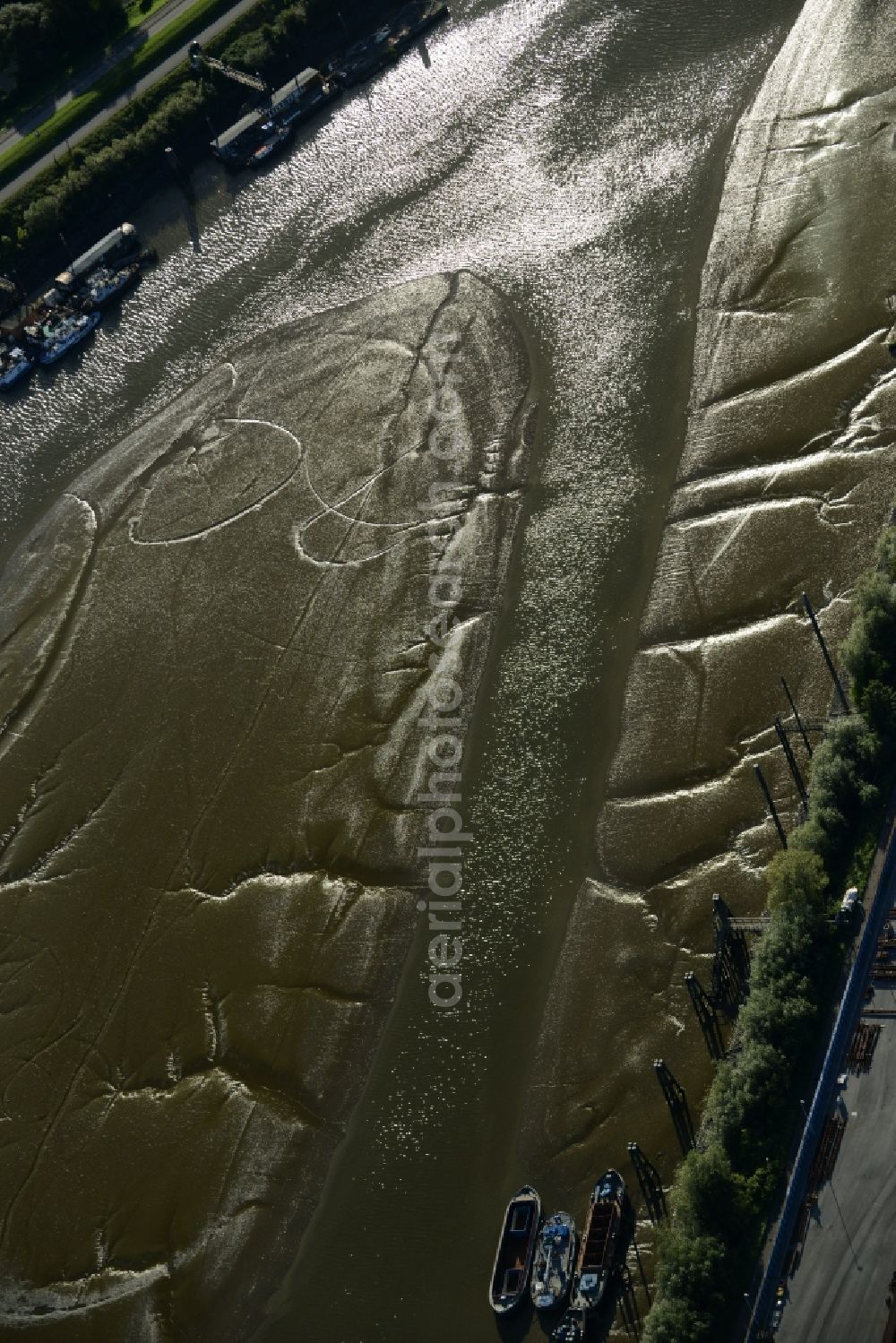 Aerial photograph Hamburg - Shore areas exposed by low-water level riverbed the Elbe in the harbor basin of Spreehafen in Hamburg in Germany