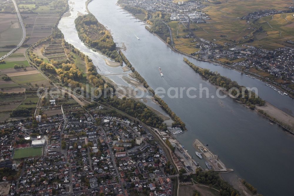 Ingelheim am Rhein from the bird's eye view: Shore areas exposed by low-water level riverbed on the Rhine river in Ingelheim am Rhein in the state Rhineland-Palatinate, Germany