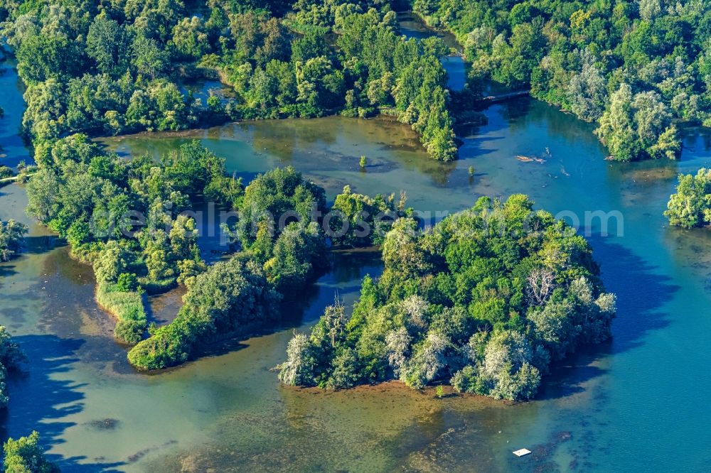 Rheinau from above - Shore areas exposed by low-water level riverbed of the Rhine river in Rheinau in the state Baden-Wurttemberg, Germany