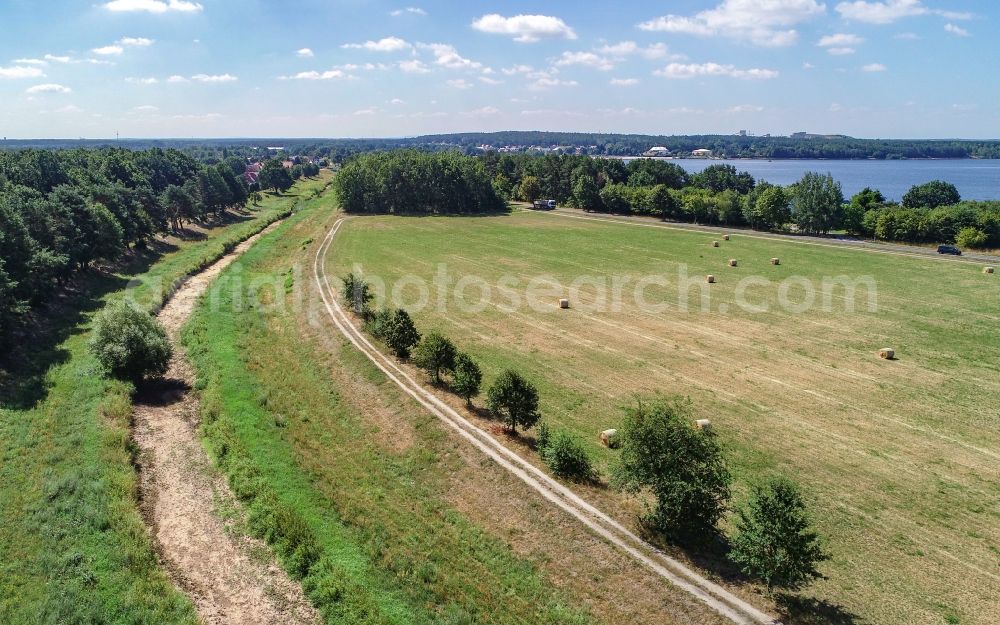 Aerial image Senftenberg - Shore areas exposed by low-water level riverbed Schwarze Elster in Senftenberg in the state Brandenburg, Germany