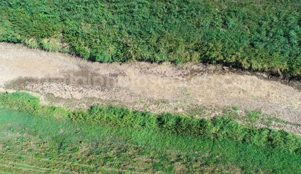 Aerial photograph Senftenberg - Shore areas exposed by low-water level riverbed Schwarze Elster in Senftenberg in the state Brandenburg, Germany