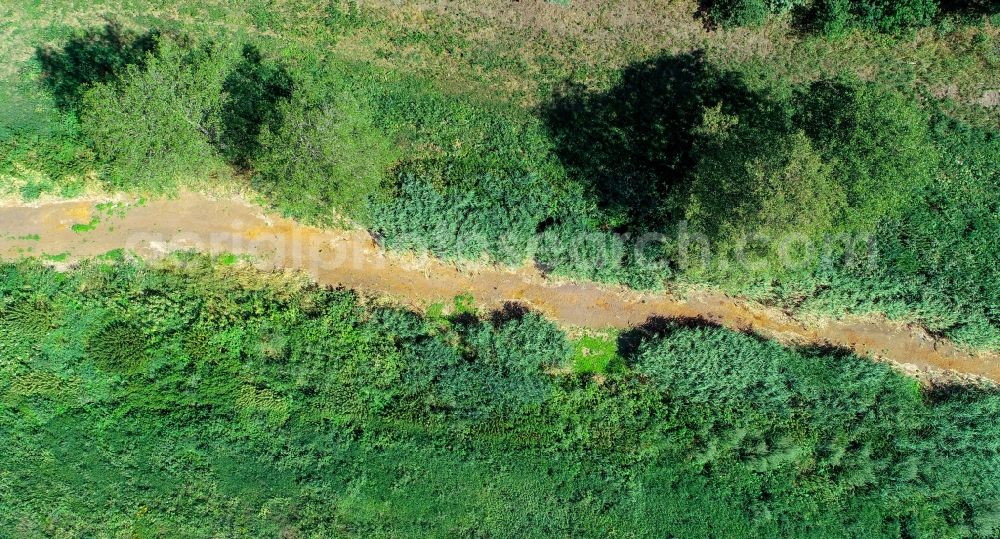 Aerial photograph Senftenberg - Shore areas exposed by low-water level riverbed Schwarze Elster in Senftenberg in the state Brandenburg, Germany