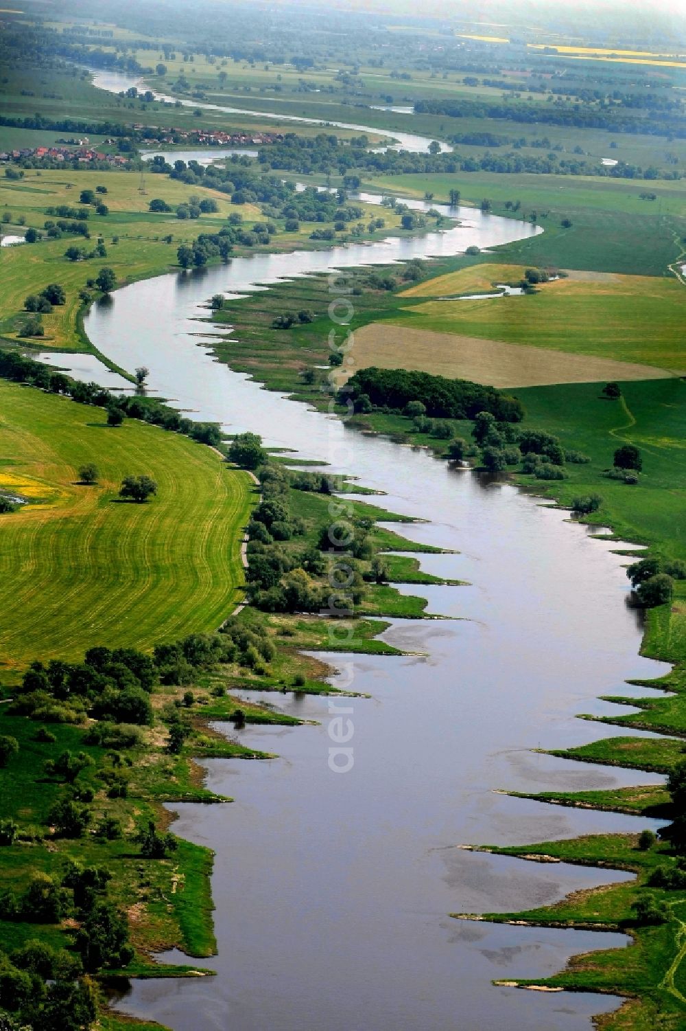 Apollensdorf from above - Curved loop of the riparian zones on the course of the river Elbe - in Apollensdorf in the state Saxony-Anhalt, Germany