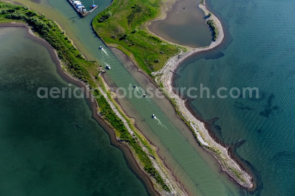 Gaißau from the bird's eye view: Riparian areas along the Alter Rhein river estuary in Lake Constance in Gaissau in Vorarlberg, Austria