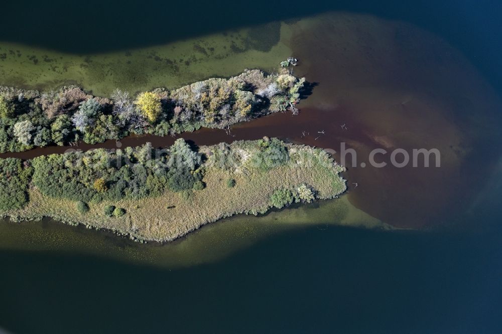 Dießen am Ammersee from the bird's eye view: Riparian areas along the river mouth of Ammer in den Ammersee in Diessen am Ammersee in the state Bavaria, Germany