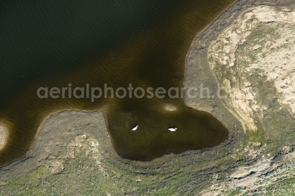 Aerial photograph Wesel - Riparian areas along the river mouth of Lippe in Wesel in the state North Rhine-Westphalia, Germany