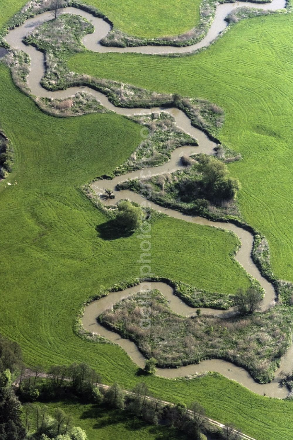 Siegenburg from the bird's eye view: Riparian zones on the course of the river of Abens in Siegenburg in the state Bavaria, Germany