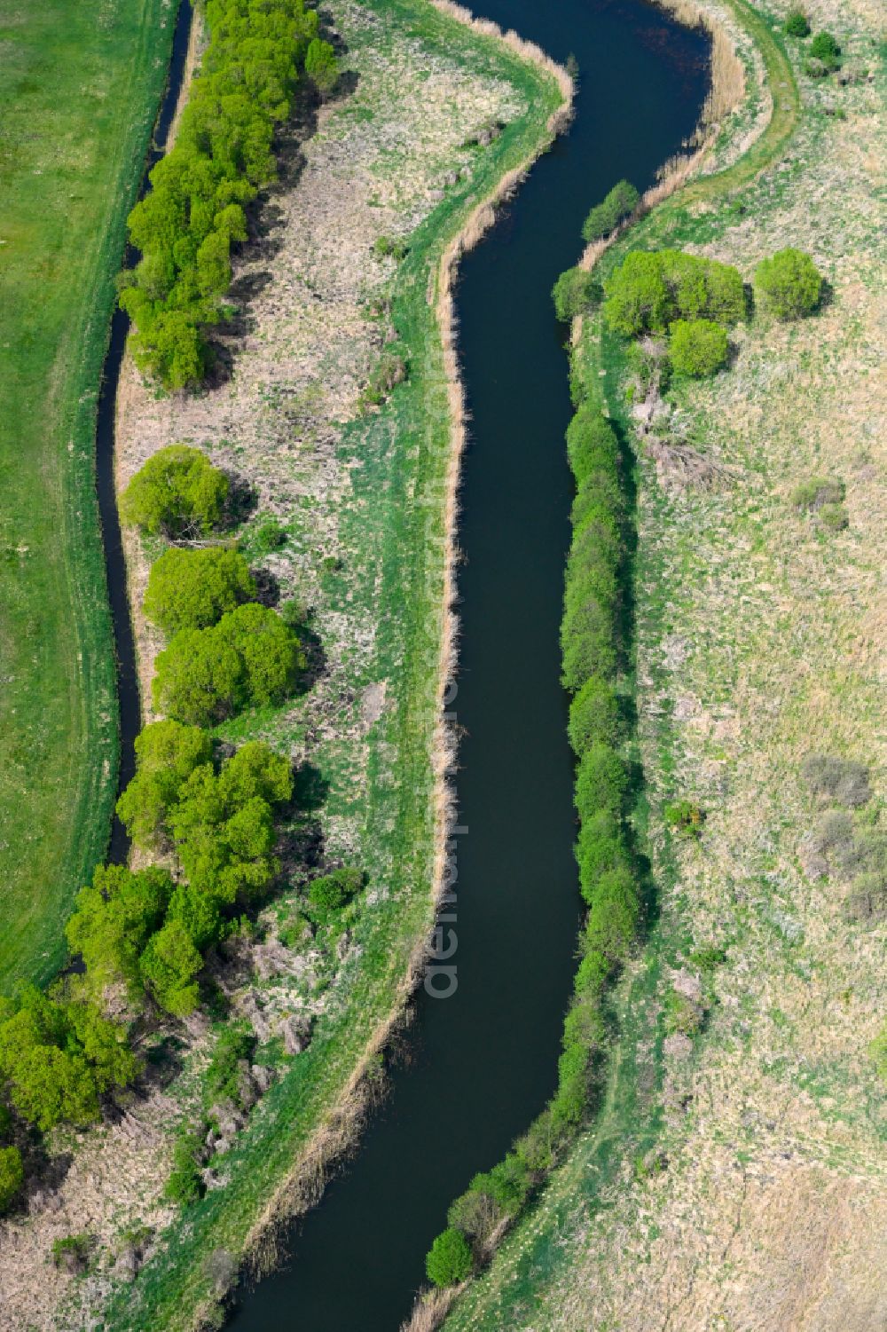 Aerial image Fehrbellin - Riparian zones on the course of the river Alter Rhin in Fehrbellin in the state Brandenburg, Germany