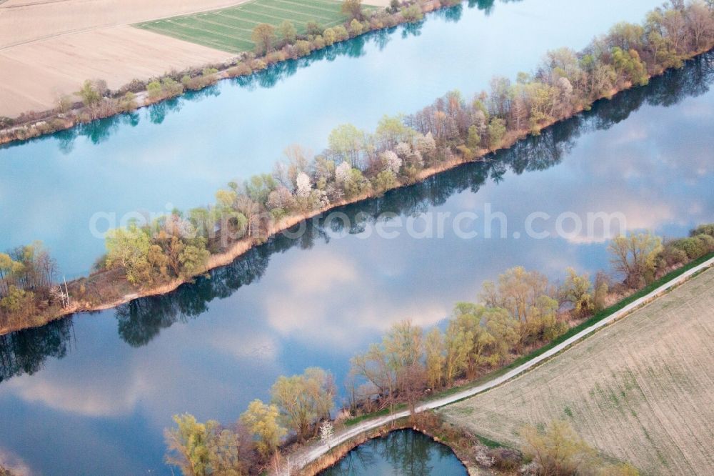 Aerial image Neupotz - Riparian zones on the course of the river Altrhein in Neupotz in the state Rhineland-Palatinate