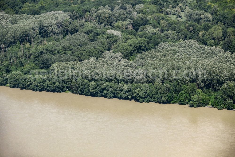 Aerial photograph Haslau an der Donau - Riparian zones on the course of the river Danube at Haslau an der Donau in Lower Austria, Austria