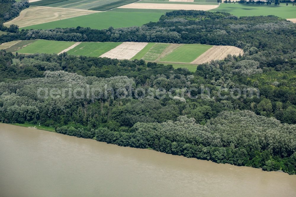 Haslau an der Donau from above - Riparian zones on the course of the river Danube at Haslau an der Donau in Lower Austria, Austria