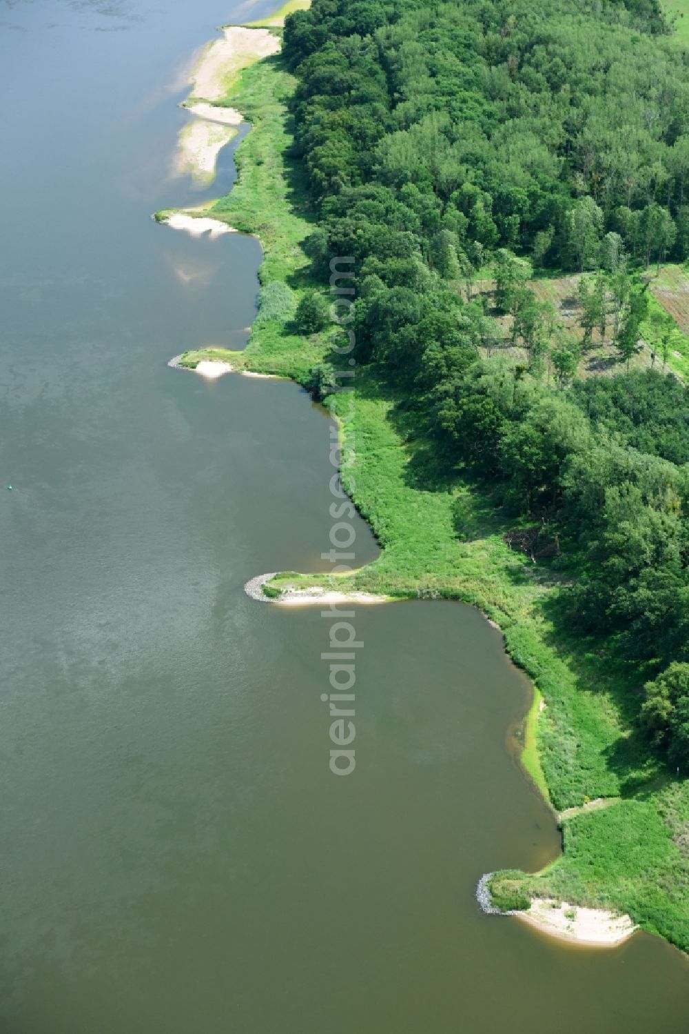 Hohenlepte from above - Riparian zones on the course of the river of the River Elbe in Hohenlepte in the state Saxony-Anhalt, Germany