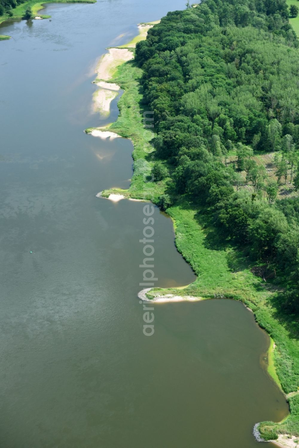 Aerial photograph Hohenlepte - Riparian zones on the course of the river of the River Elbe in Hohenlepte in the state Saxony-Anhalt, Germany