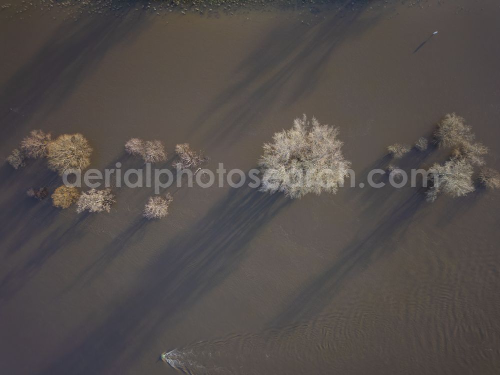 Aerial image Dresden - Flooded riverbank areas along the course of the Elbe drainage ditch Kaditzer flood channel in the district of Mickten in Dresden in the federal state of Saxony, Germany