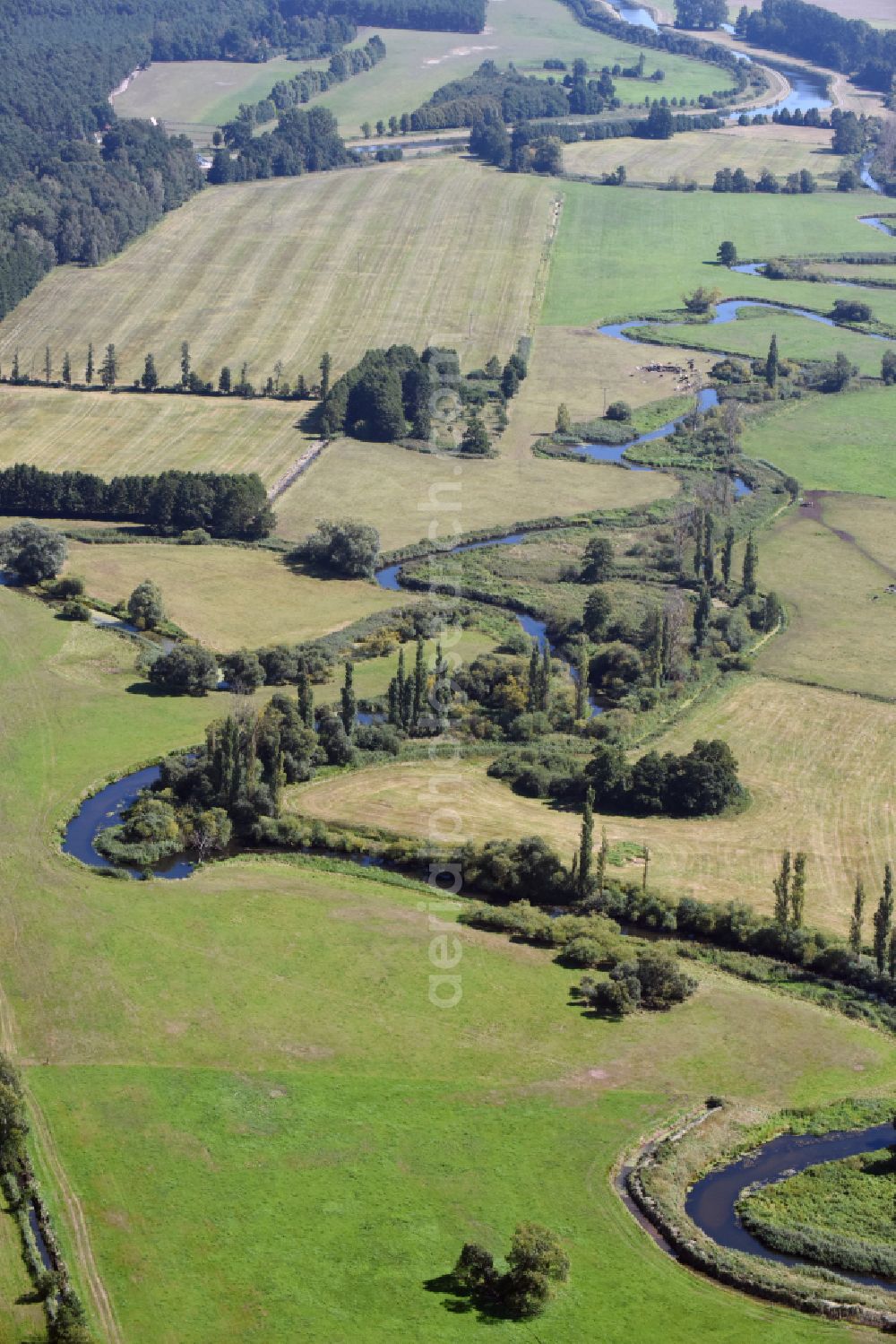 Grabow from above - Riparian zones on the course of the river of the meandering tributary of the Elde on the flood meadows in Grabow in the state Mecklenburg - Western Pomerania, Germany