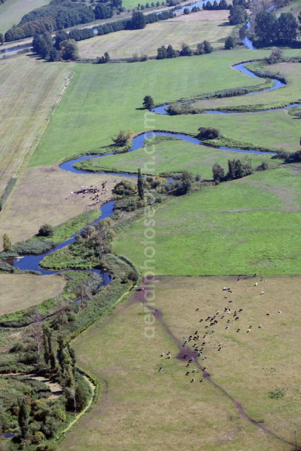 Aerial image Grabow - Riparian zones on the course of the river of the meandering tributary of the Elde on the flood meadows in Grabow in the state Mecklenburg - Western Pomerania, Germany