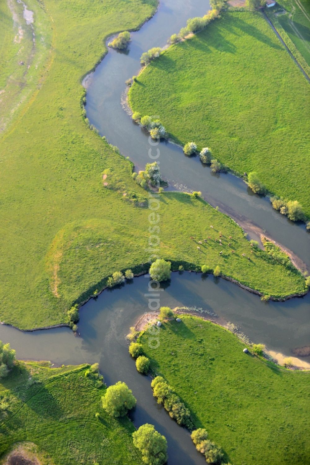 Ahlen from the bird's eye view: Riparian zones on the course of the river Lippe in Ahlen in the state North Rhine-Westphalia