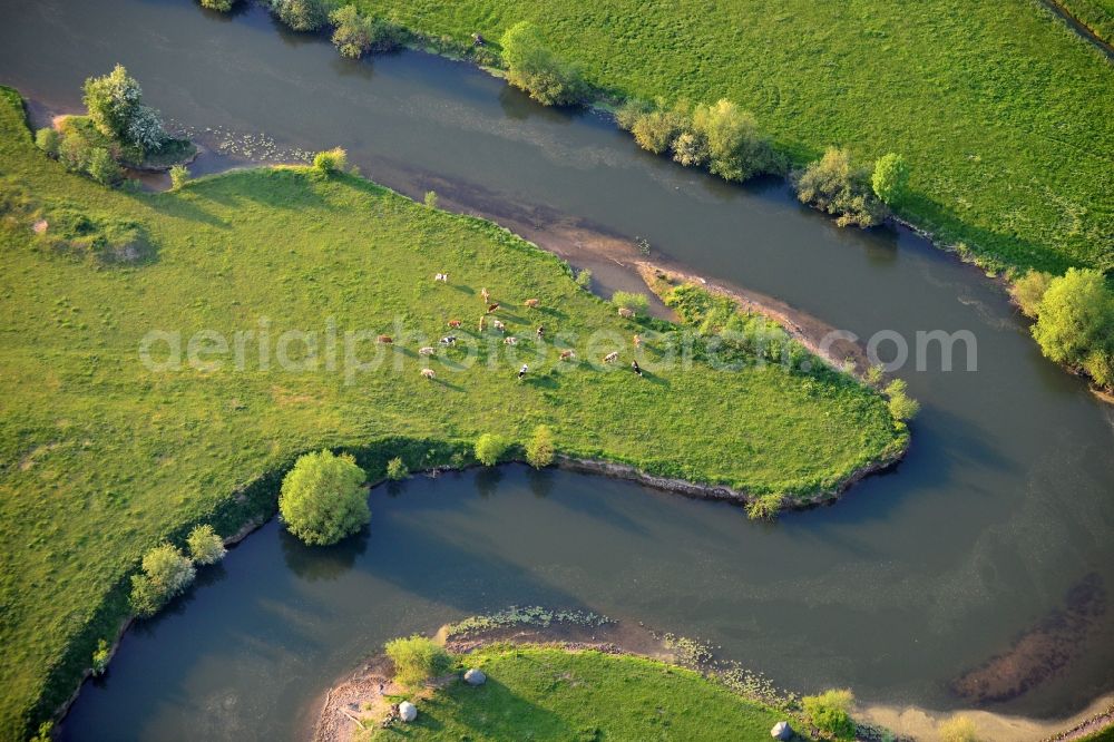 Aerial image Ahlen - Riparian zones on the course of the river Lippe in Ahlen in the state North Rhine-Westphalia