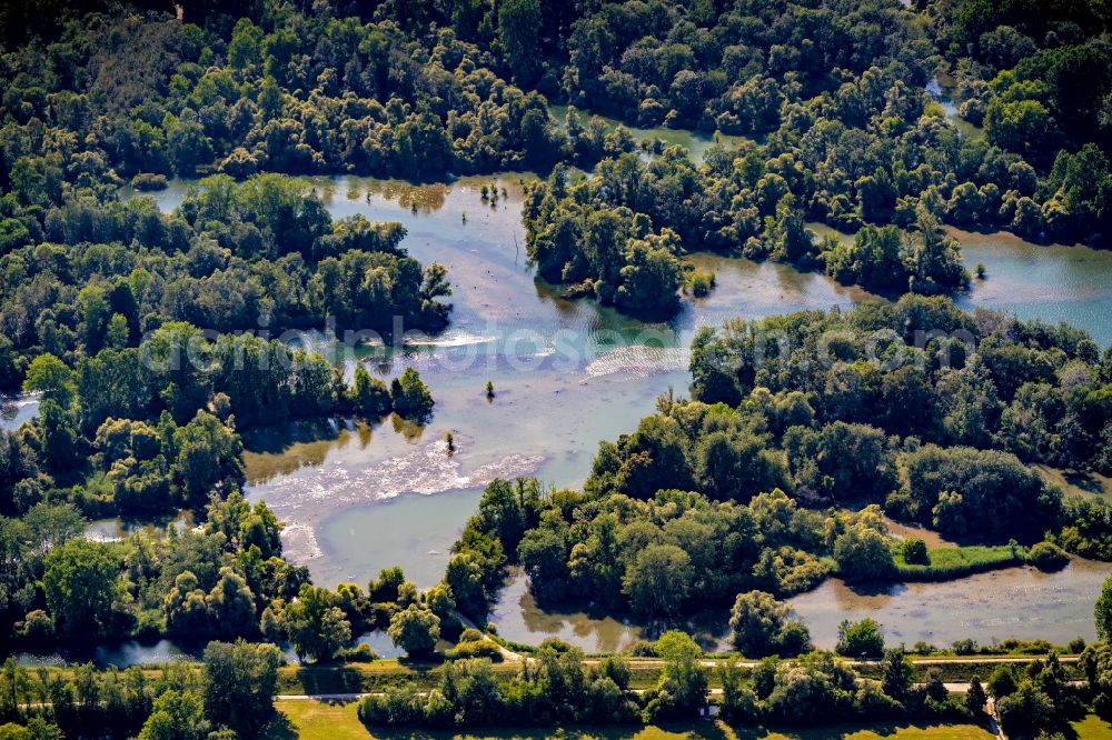 Rheinau from above - Riparian zones on the course of the river Naturschutzgebiet Taubergiessen in Rheinau in the state Baden-Wurttemberg, Germany