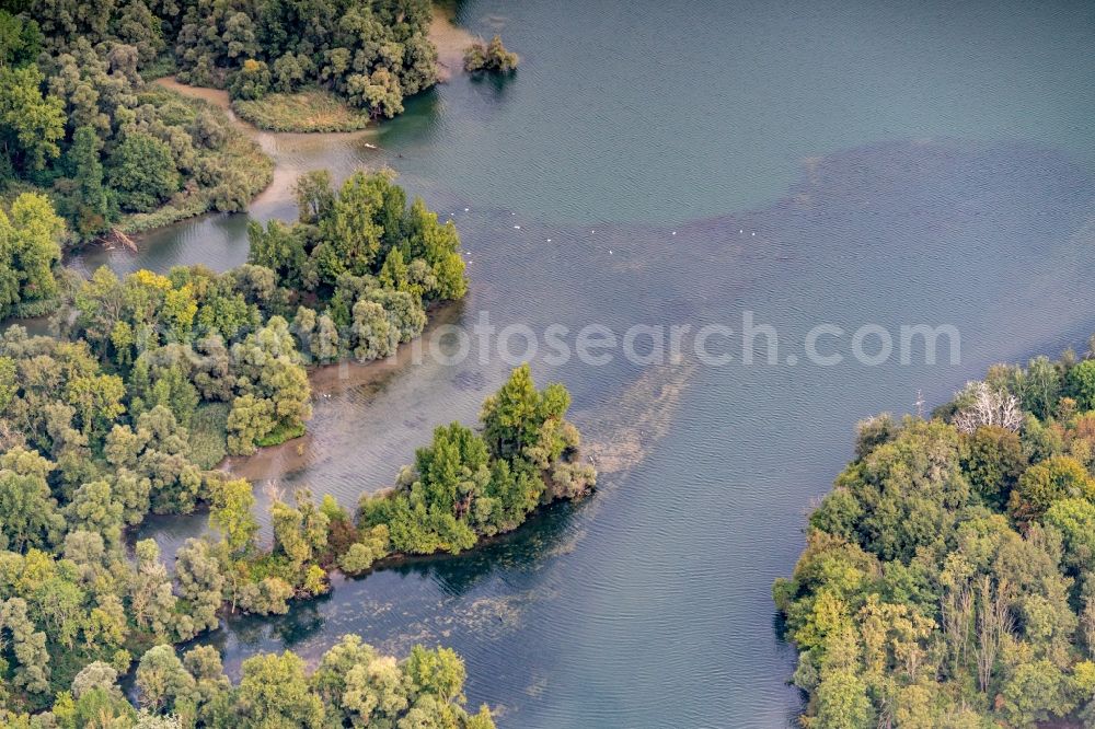 Aerial image Rheinau - Riparian zones on the course of the river Naturschutzgebiet Taubergiessen in Rheinau in the state Baden-Wurttemberg, Germany