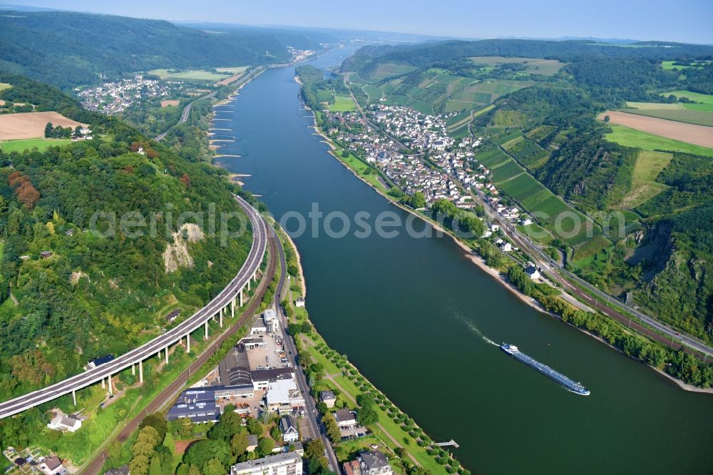 Aerial image Andernach - Riparian zones on the course of the river of the Rhine river in Andernach in the state Rhineland-Palatinate, Germany