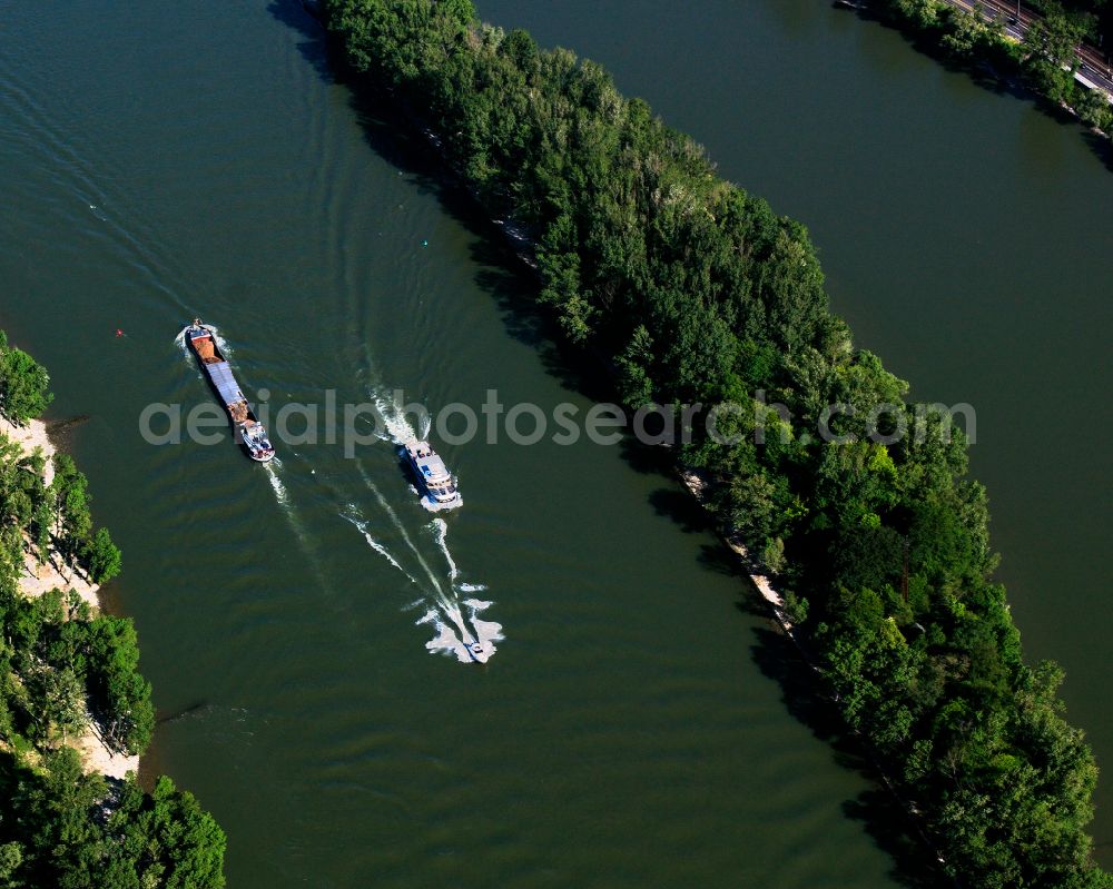 Fellen from the bird's eye view: Riparian zones on the course of the river of the Rhine river in Fellen in the state Rhineland-Palatinate, Germany