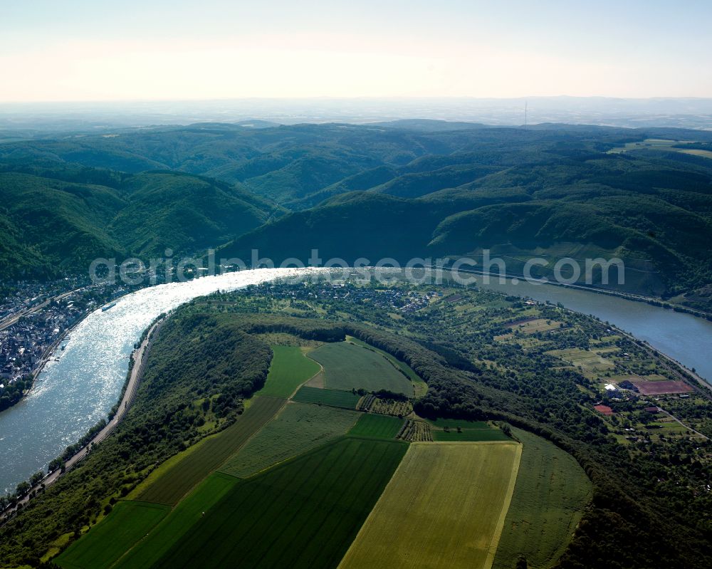 Aerial image Filsen - Riparian zones on the course of the river of the Rhine river in Filsen in the state Rhineland-Palatinate, Germany