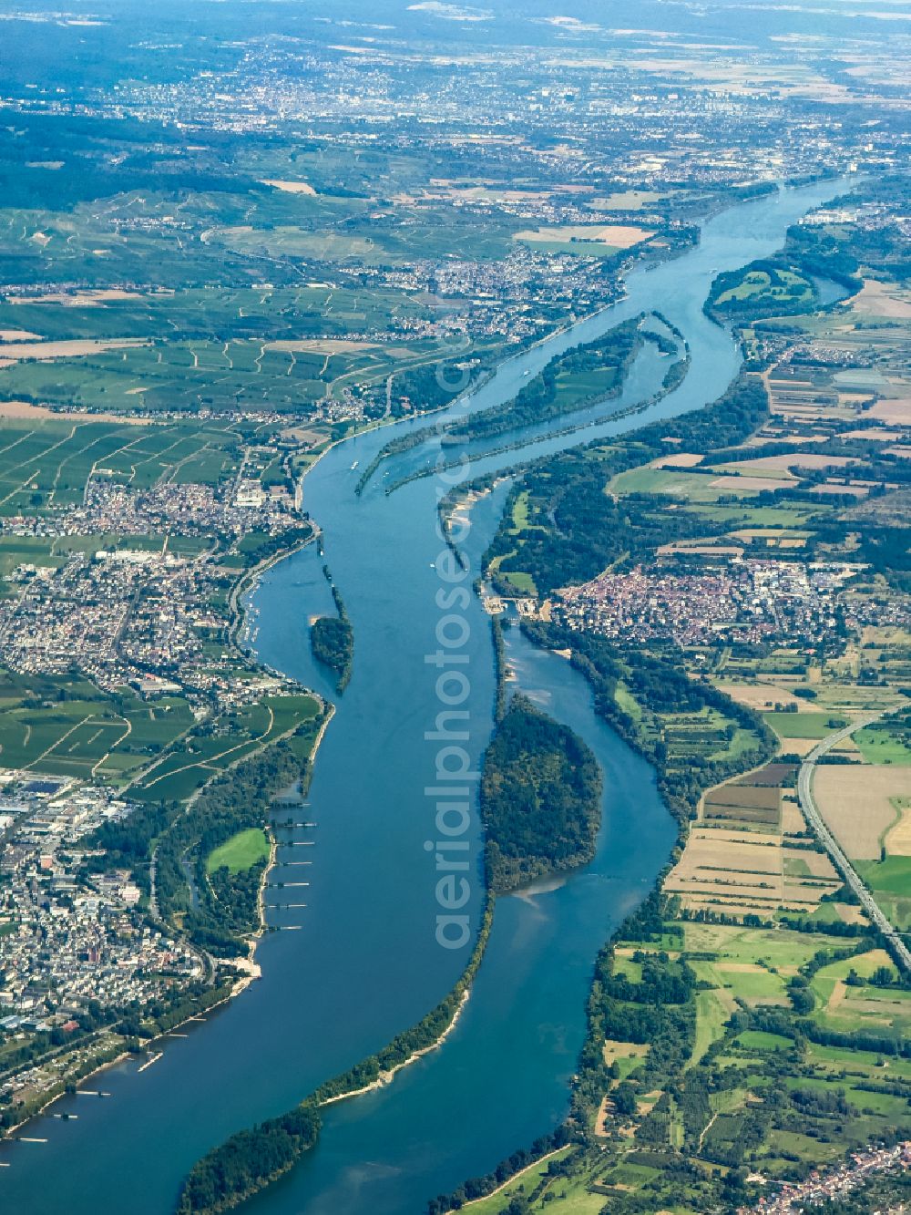 Aerial photograph Ingelheim am Rhein - Riparian zones on the course of the river Rhine on street Rheinstrasse in Ingelheim am Rhein in the state Rhineland-Palatinate, Germany