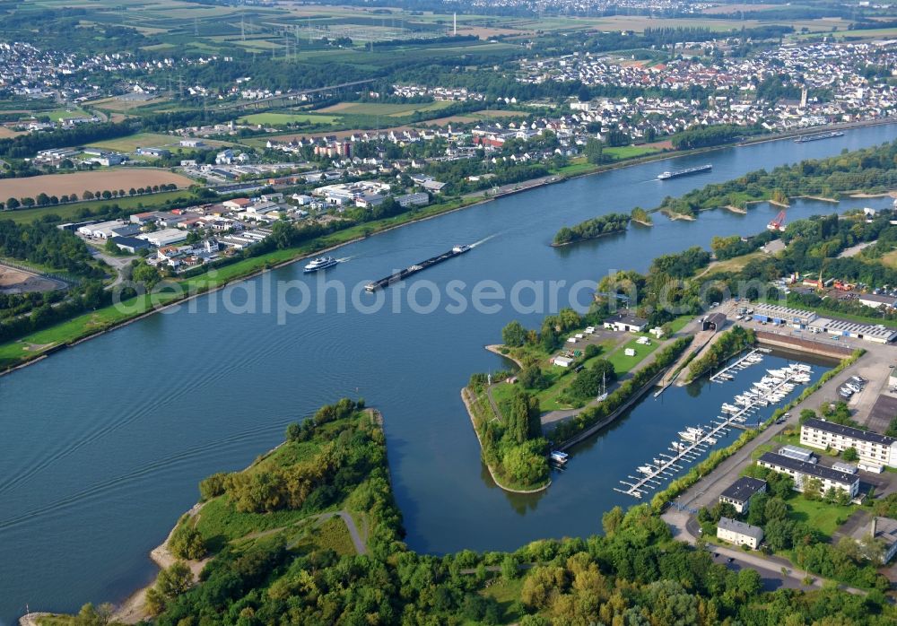 Aerial image Neuwied - Riparian zones on the course of the river of the Rhine river in Neuwied in the state Rhineland-Palatinate, Germany