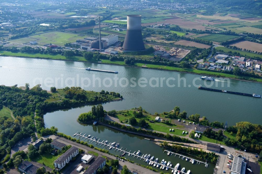 Neuwied from the bird's eye view: Riparian zones on the course of the river of the Rhine river in Neuwied in the state Rhineland-Palatinate, Germany