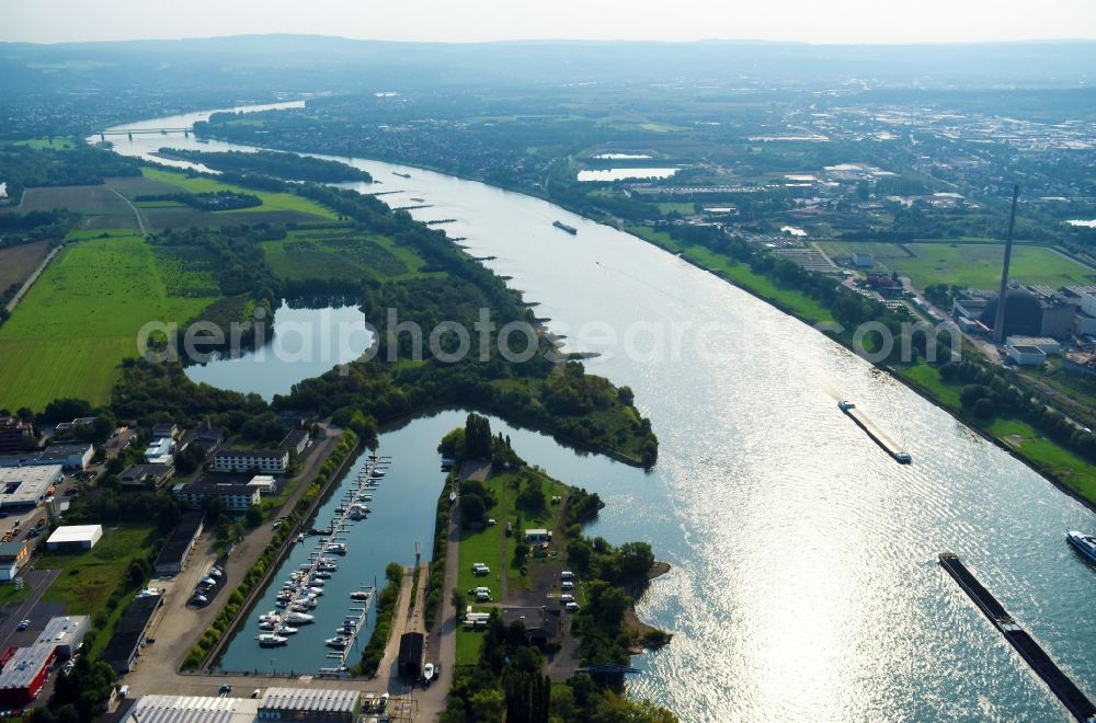 Aerial image Neuwied - Riparian zones on the course of the river of the Rhine river in Neuwied in the state Rhineland-Palatinate, Germany