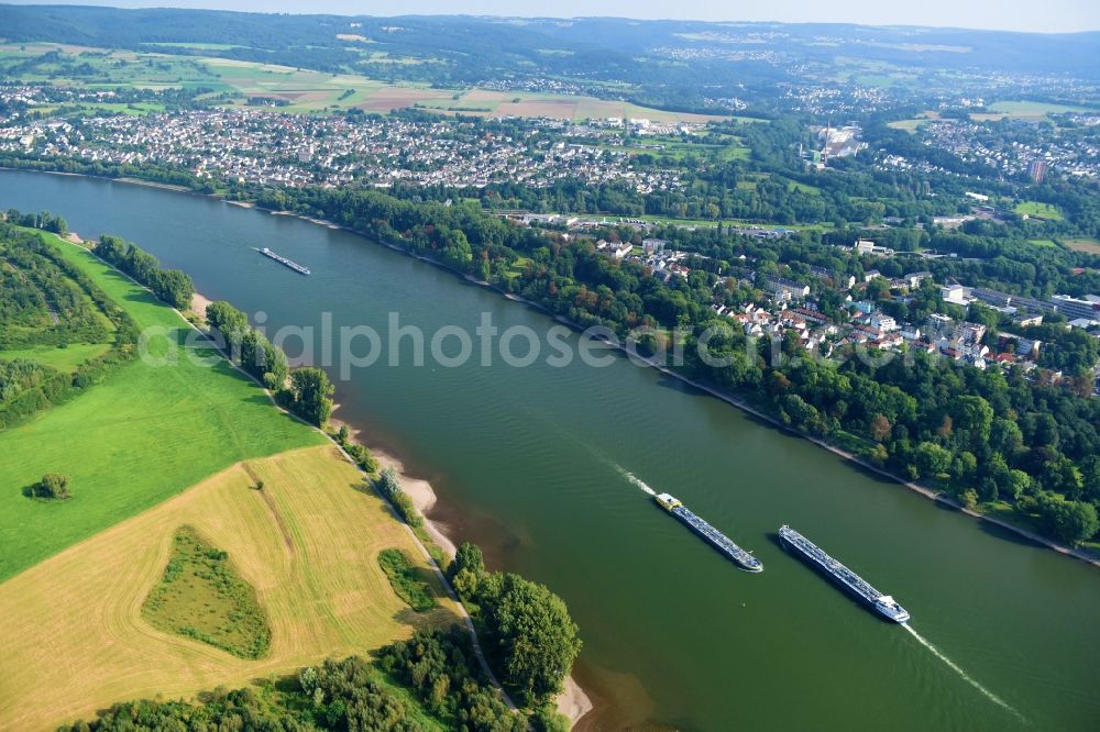 Neuwied from the bird's eye view: Riparian zones on the course of the river of the Rhine river in Neuwied in the state Rhineland-Palatinate, Germany