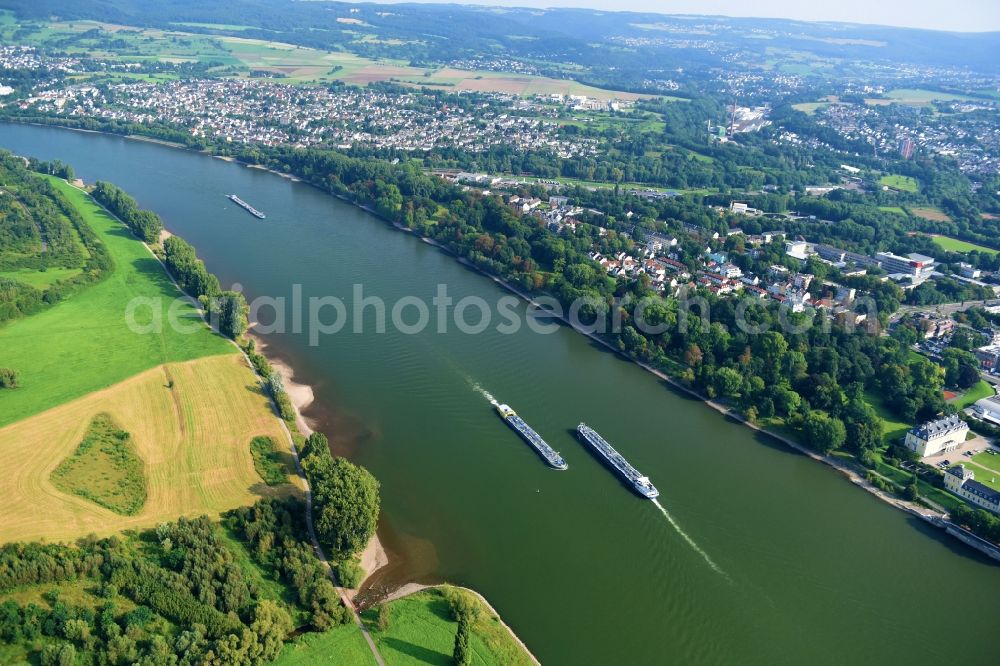 Aerial image Neuwied - Riparian zones on the course of the river of the Rhine river in Neuwied in the state Rhineland-Palatinate, Germany