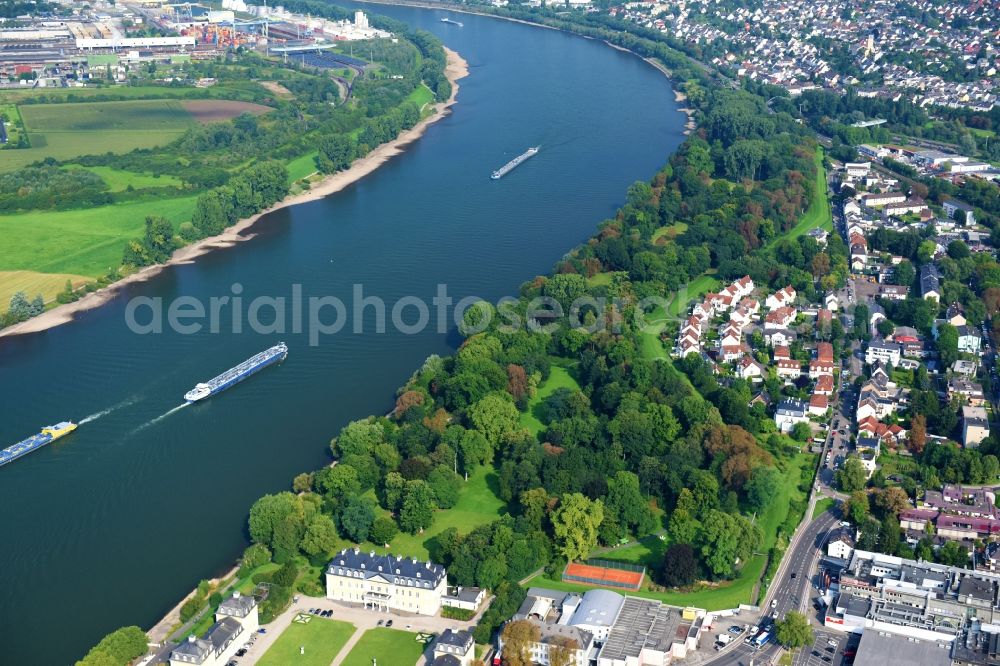 Aerial photograph Neuwied - Riparian zones on the course of the river of the Rhine river in Neuwied in the state Rhineland-Palatinate, Germany