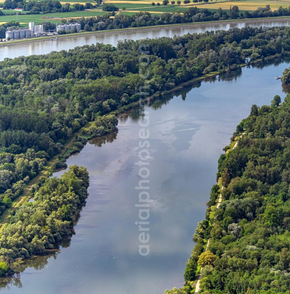 Rheinau from the bird's eye view: Riparian zones on the course of the river Am Rhein in Rheinau in the state Baden-Wuerttemberg, Germany