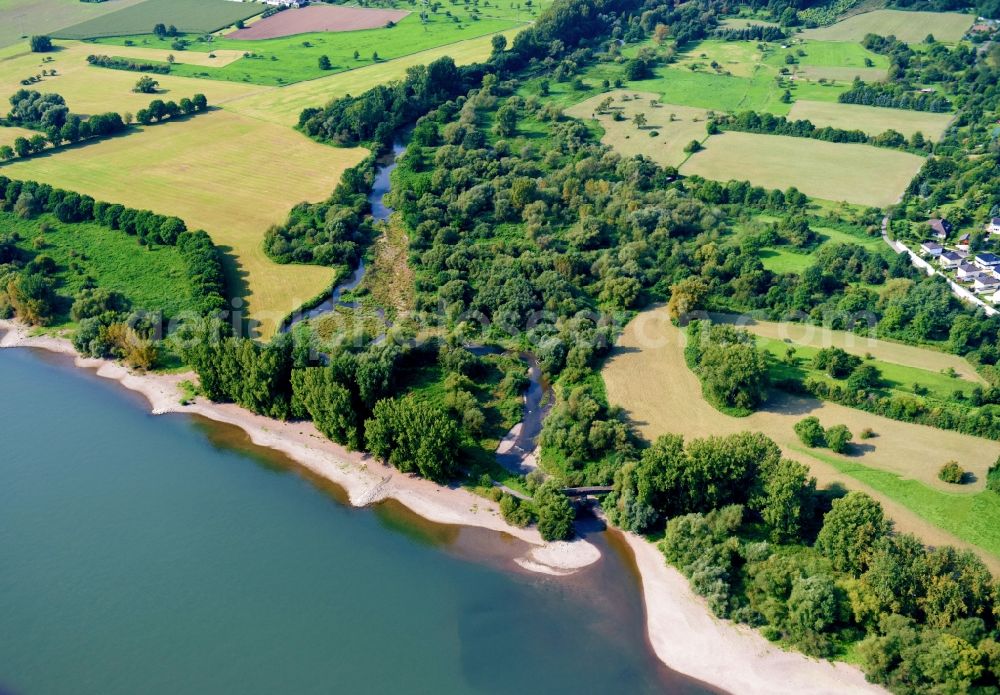 Sinzig from above - Riparian zones on the course of the river of the Rhine river in Sinzig in the state Rhineland-Palatinate, Germany