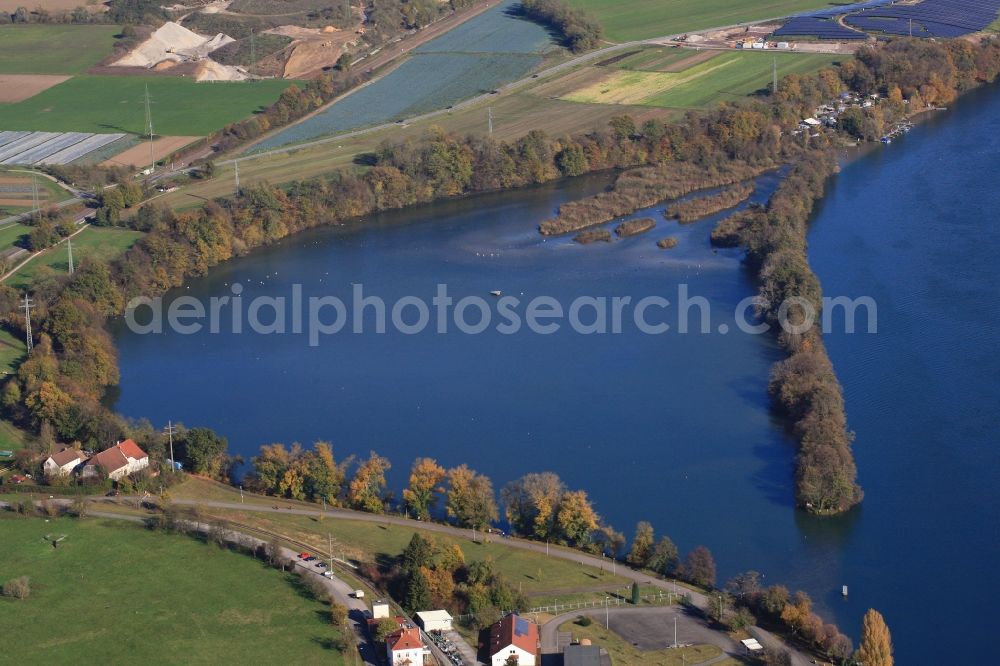 Aerial image Grenzach-Wyhlen - Riparian zones on the course of the river Rhine in the natural reserve area Altrhein in Grenzach-Wyhlen in the state Baden-Wuerttemberg, Germany