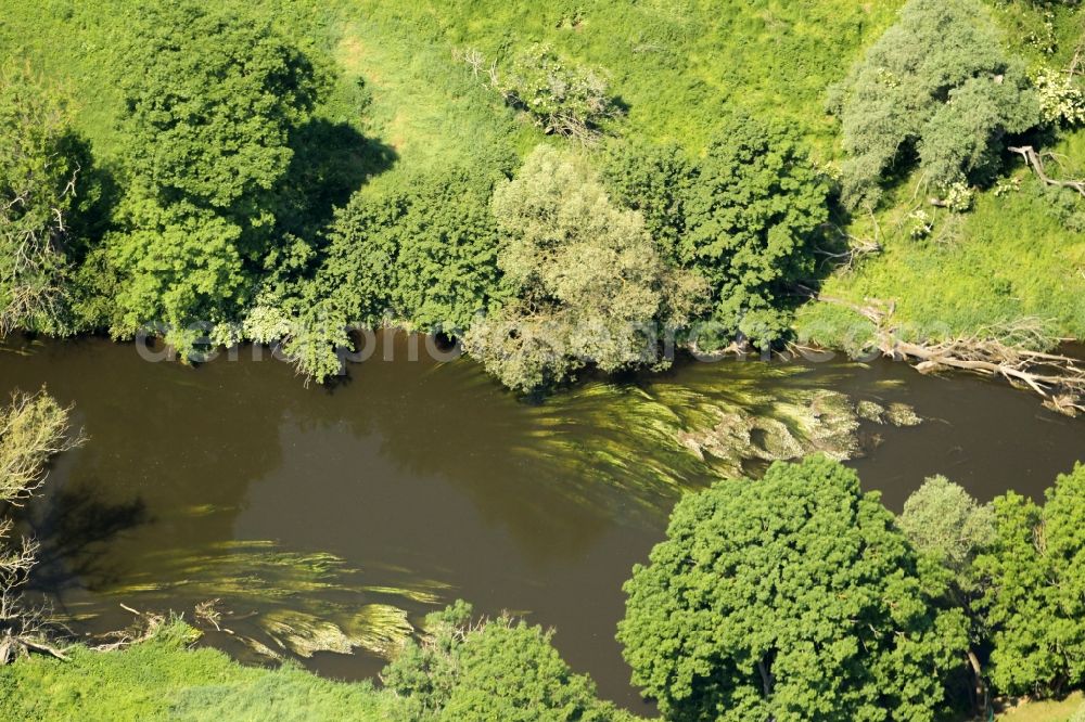 Naumburg (Saale) from the bird's eye view: Riparian zones on the course of the river of Saale with Algen and Wasserpflanzen in the district Bad Koesen in Naumburg (Saale) in the state Saxony-Anhalt, Germany