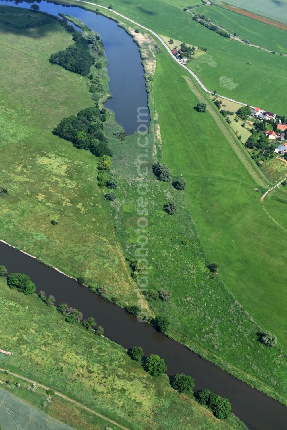 Aerial image Nienburg (Saale) - Riparian zones on the course of the river Saale and silting of a branch at the district Wedlitz in Nienburg (Saale) in the state Saxony-Anhalt