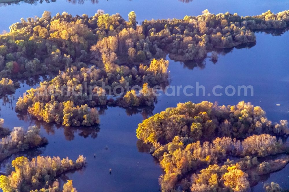 Rheinau from above - Riparian zones on the course of the river Taubergiessen Herrentopf on Oberrhein in Rheinau in the state Baden-Wurttemberg, Germany