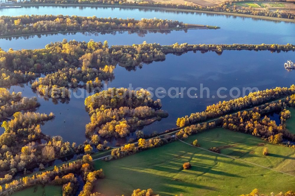 Rheinau from the bird's eye view: Riparian zones on the course of the river Taubergiessen Herrentopf on Oberrhein in Rheinau in the state Baden-Wurttemberg, Germany