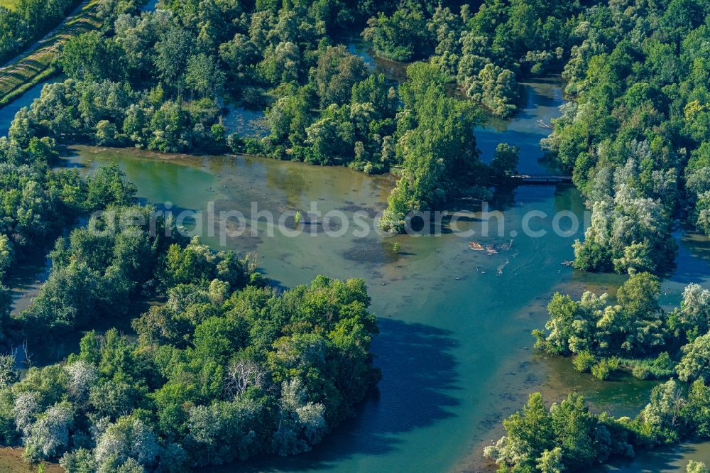 Rhinau from above - Riparian zones on the course of the river Taubergiessen Herrentopf on Oberrhein in Rheinau in the state Baden-Wurttemberg, Germany