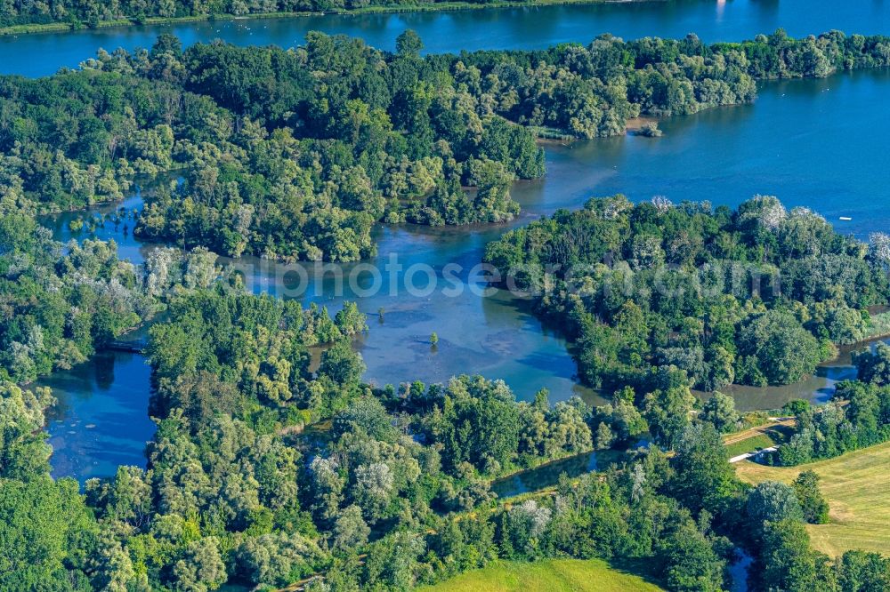 Aerial photograph Rhinau - Riparian zones on the course of the river Taubergiessen Herrentopf on Oberrhein in Rheinau in the state Baden-Wurttemberg, Germany