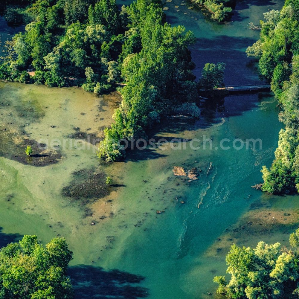 Aerial image Rhinau - Riparian zones on the course of the river Taubergiessen Herrentopf on Oberrhein in Rheinau in the state Baden-Wurttemberg, Germany