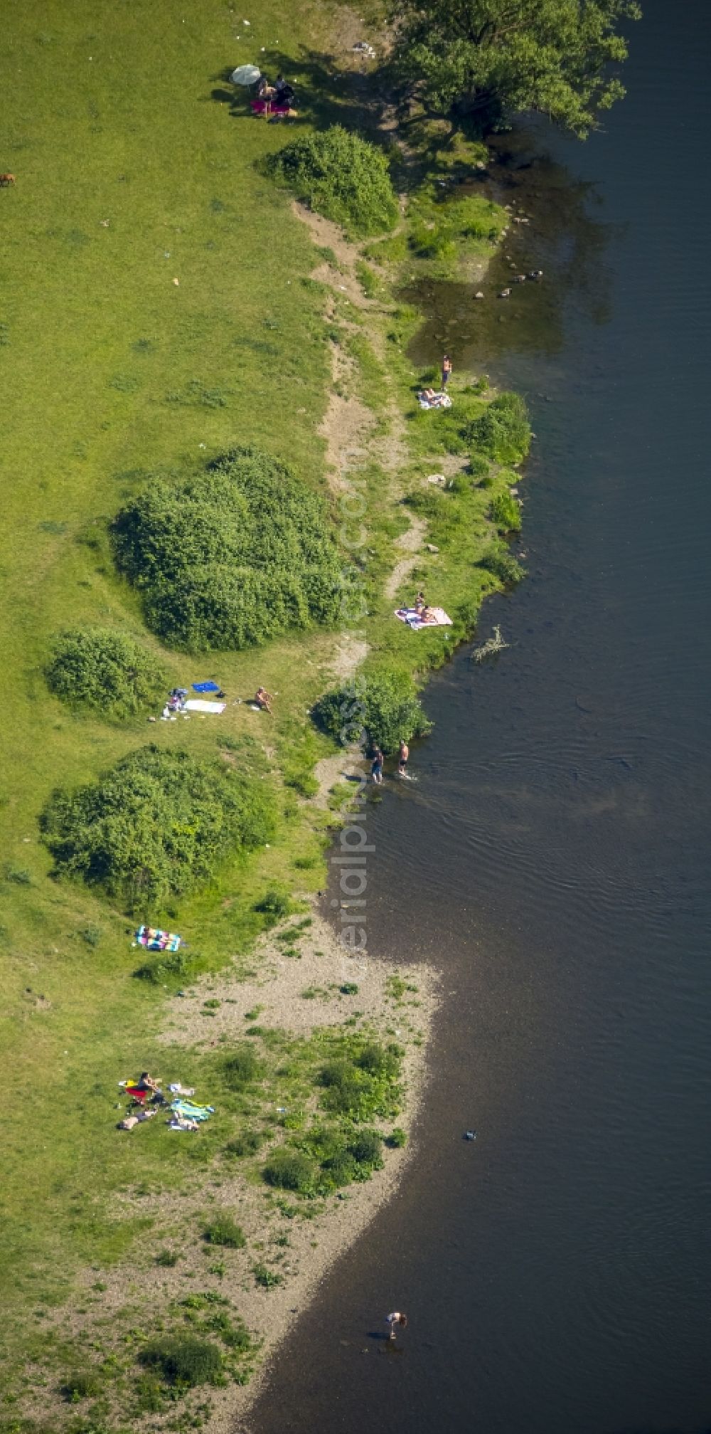 Mülheim an der Ruhr from above - Shore areas of the river course der Ruhr in Muelheim an der Ruhr in the state North Rhine-Westphalia