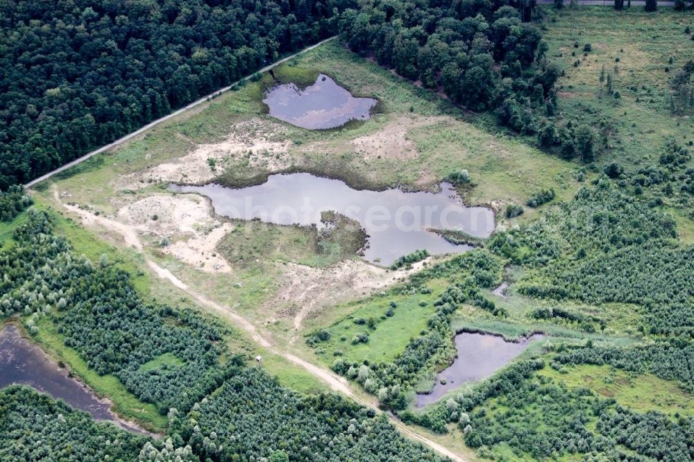 Foret de Haguenau from above - Bank areas of a flooded former dismantling of opencast mining and renaturierungs-lake in Foret de Haguenau in Grand Est, France