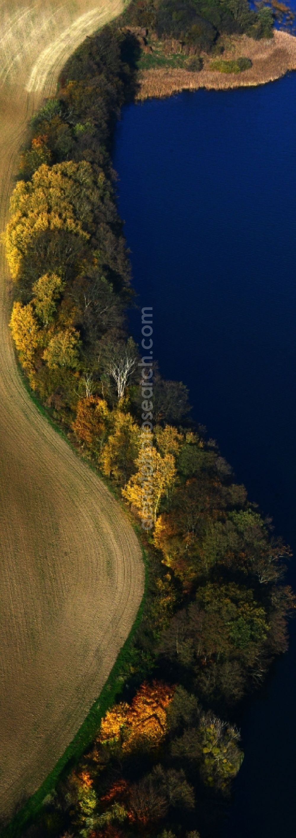 Aerial image Suckow - Shore areas of the Great lanke at Suckow in Brandenburg