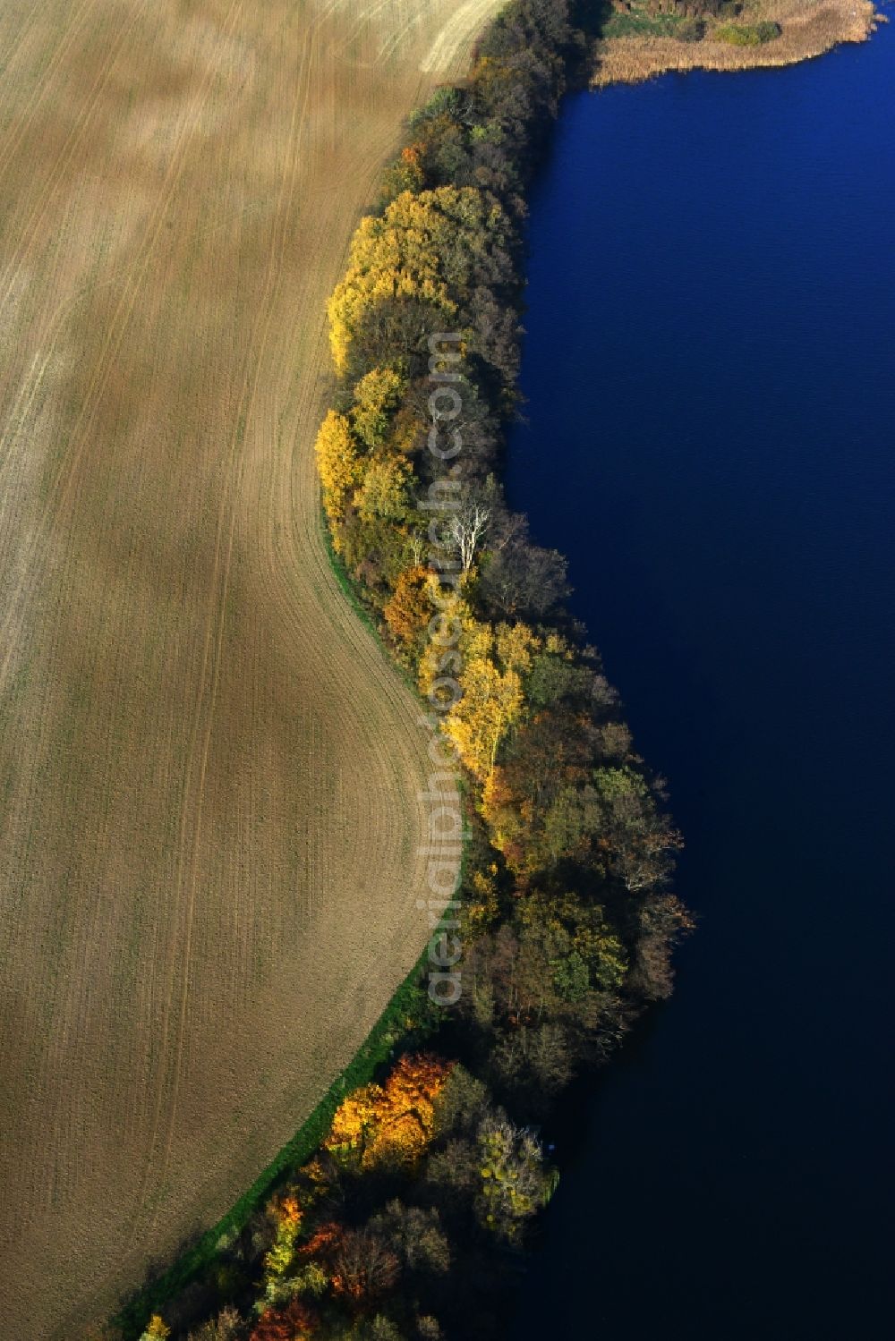 Aerial photograph Suckow - Shore areas of the Great lanke at Suckow in Brandenburg