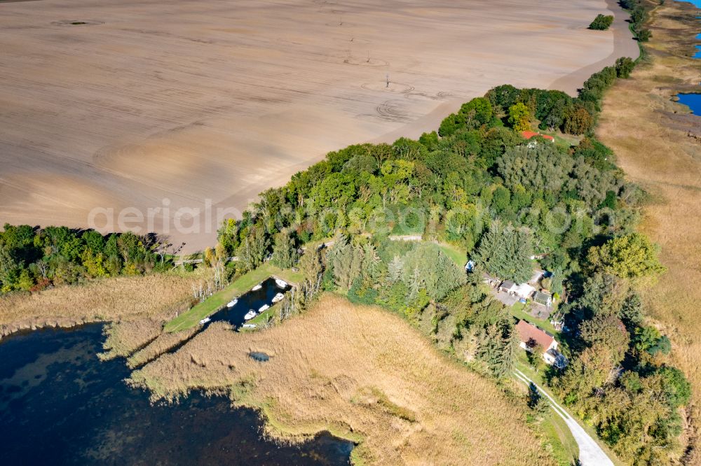 Neuenkirchen from the bird's eye view: Bodden - shore areas of coastal waters Lebbiner Bodden in Neuenkirchen in the state Mecklenburg - Western Pomerania, Germany